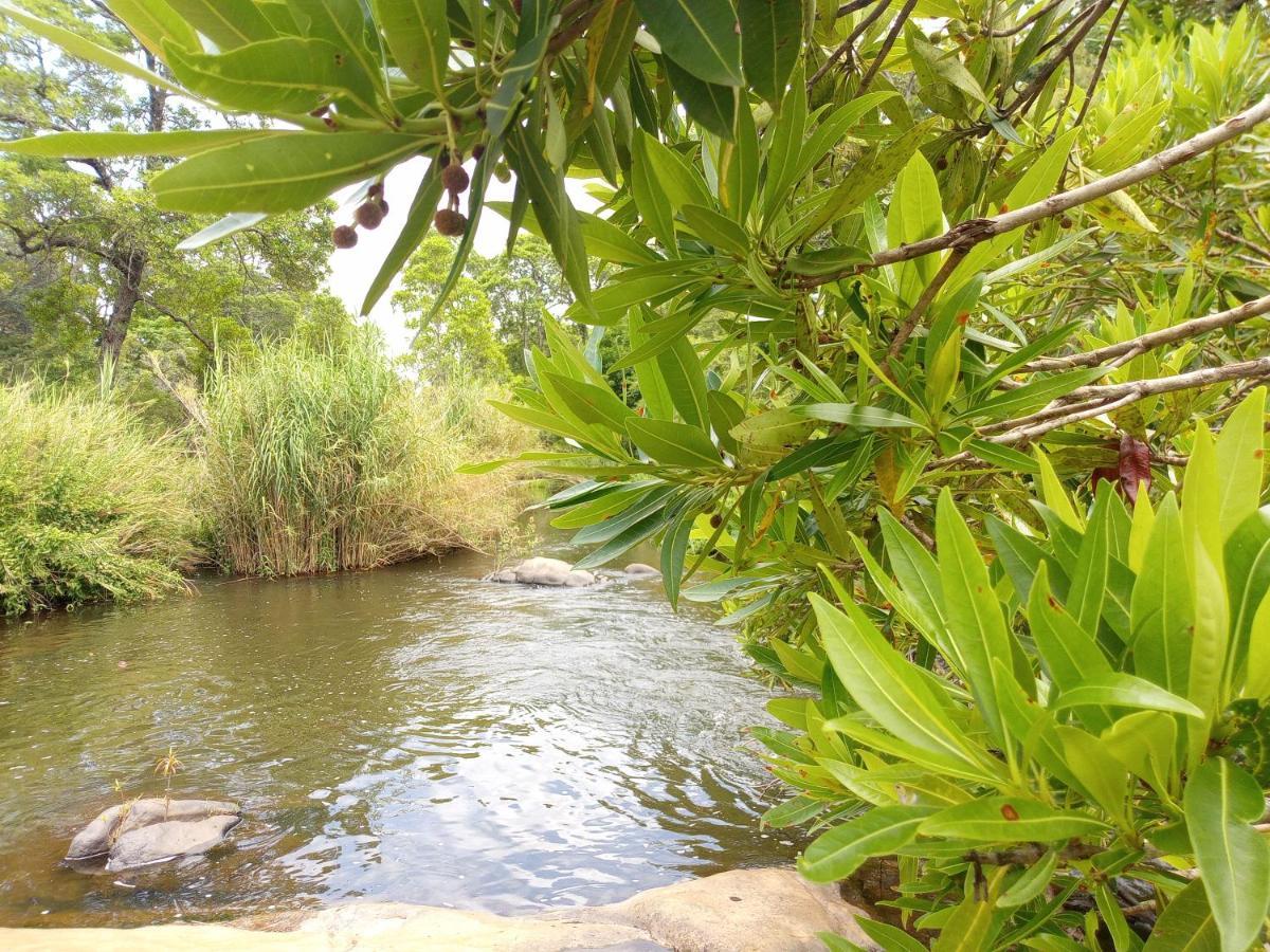 Blyde River Cabins Hoedspruit Luaran gambar